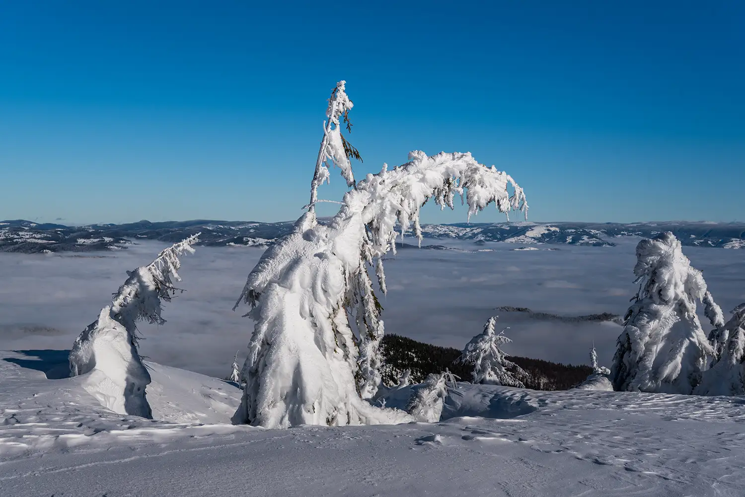 Vârful Cucurbăta Mică