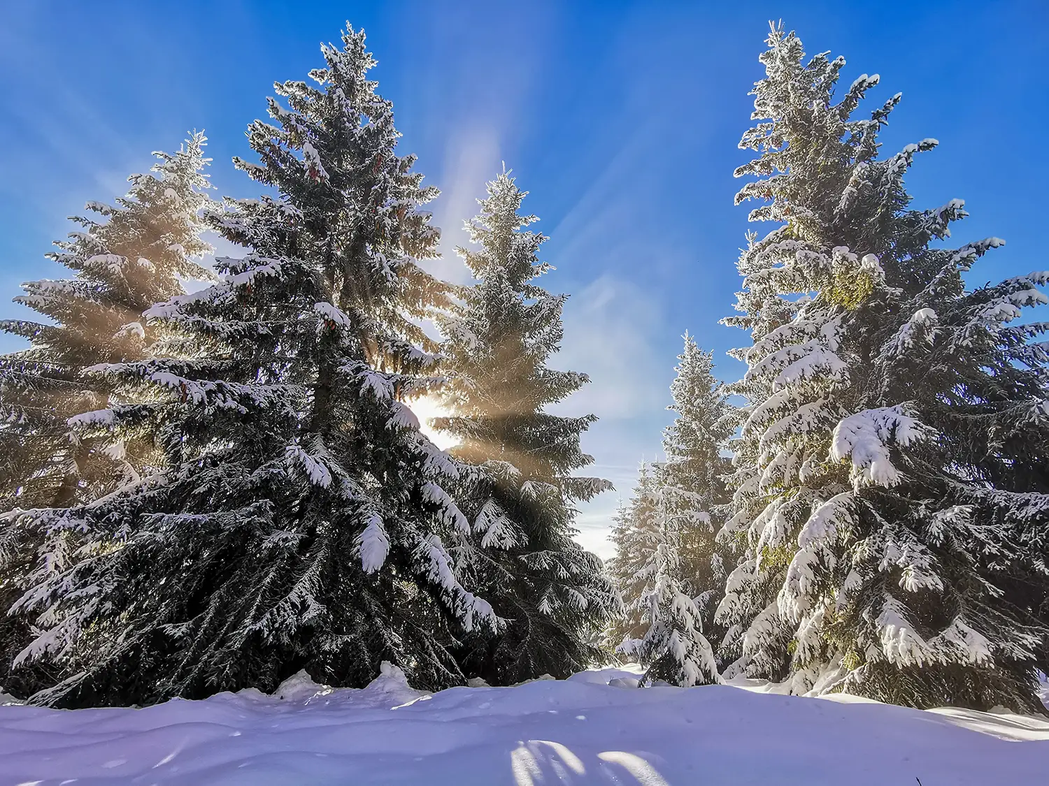 Vârful Cucurbăta Mică