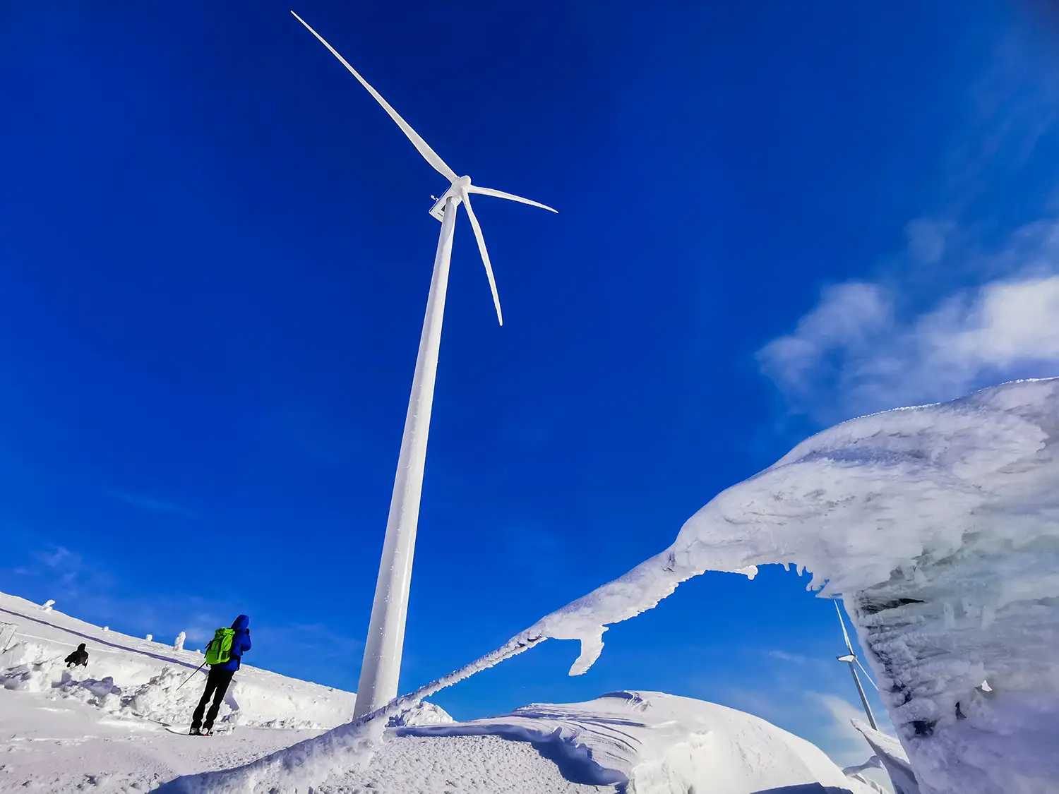 Vârful Cucurbăta Mică