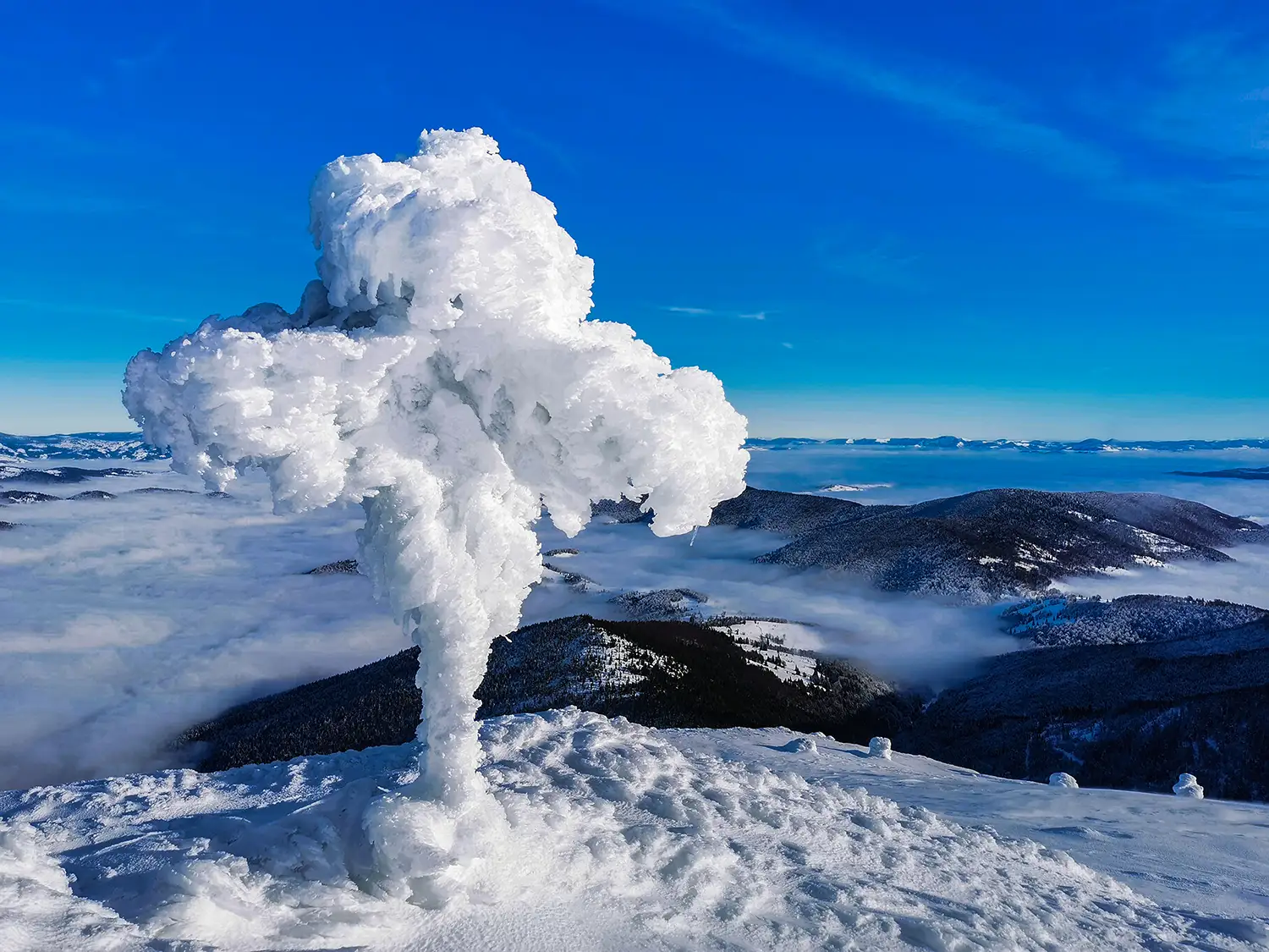 Vârful Cucurbăta Mică
