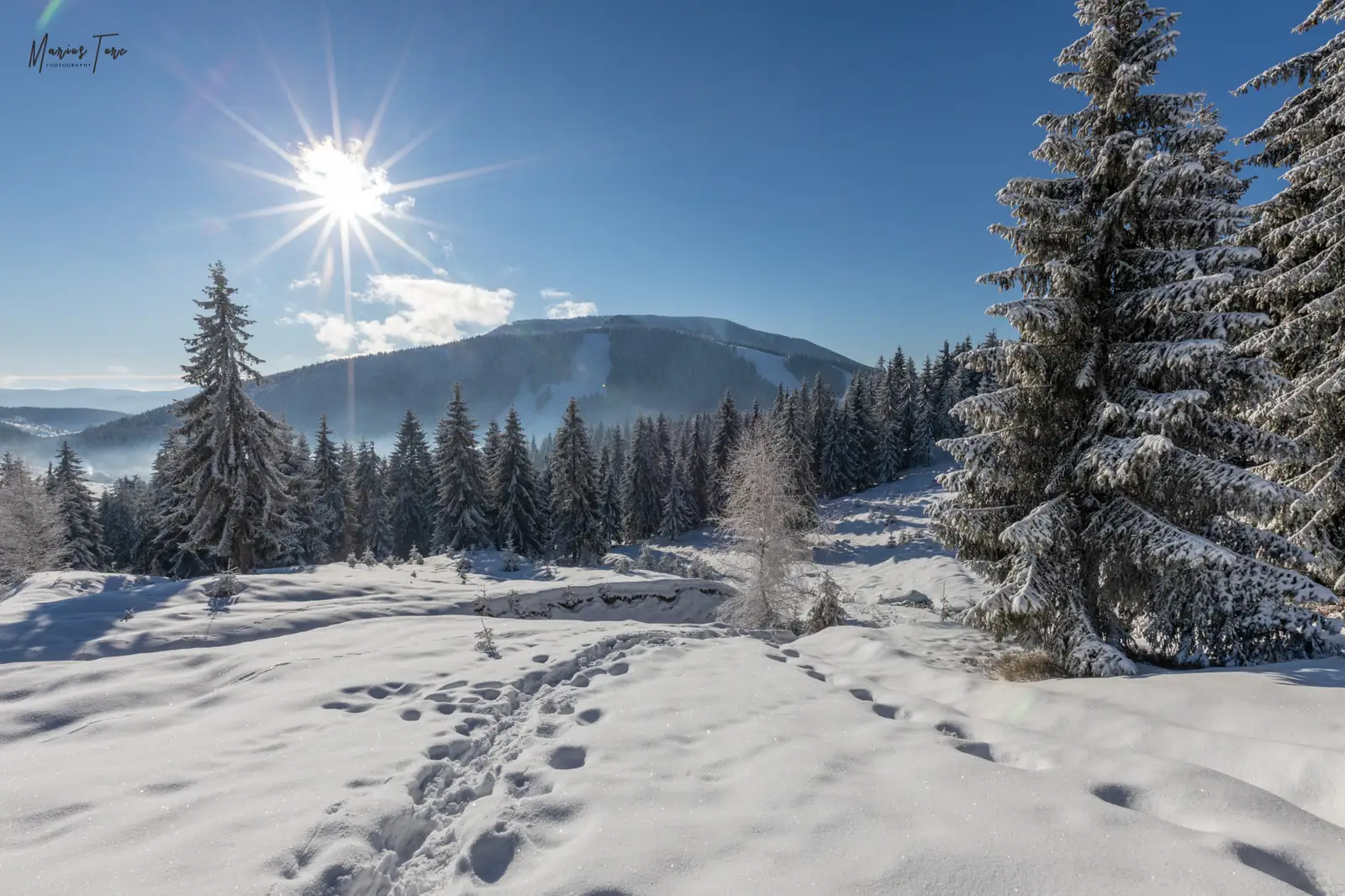  partia de la Vartop - Marius Turc