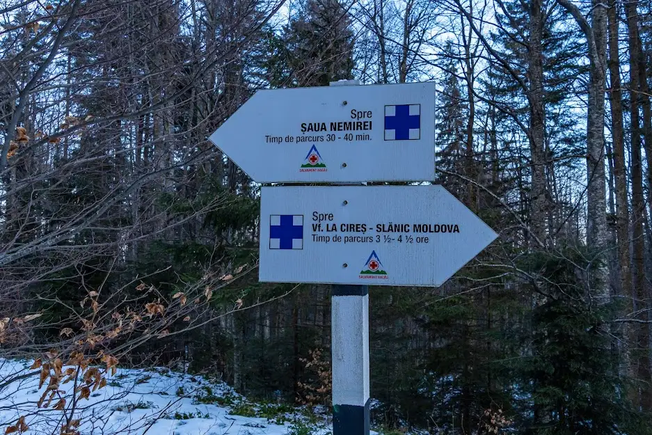 Spre Vf. La Cireș - Andrei Pahomi