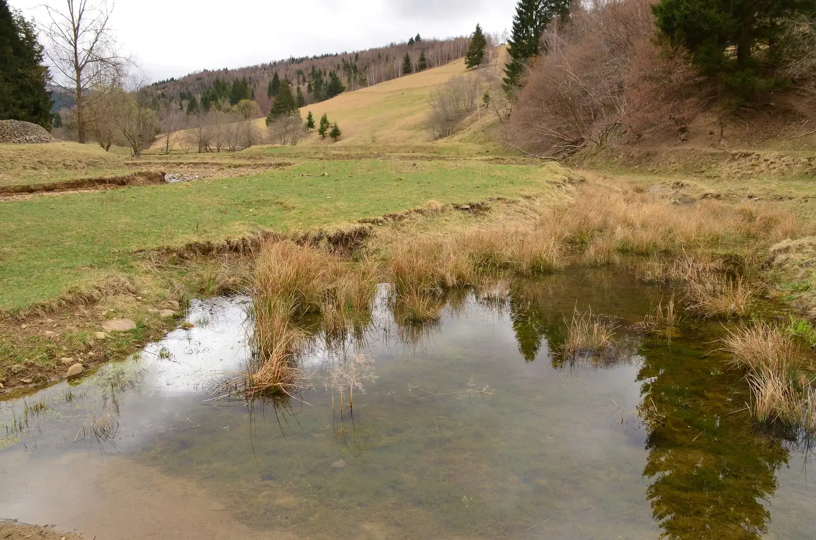  2. Tinovul Apa Lina - Tibor Sos