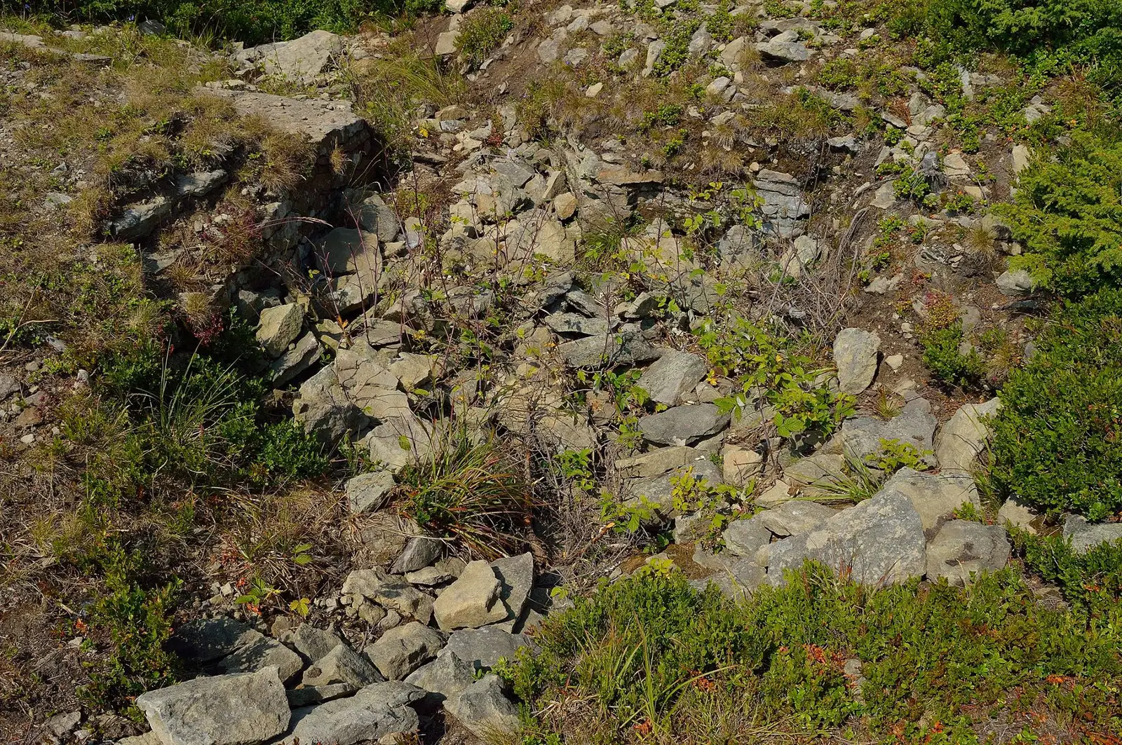  Vârful Nemira Mare - rămășițele unei tranșee - Andrei Pahomi