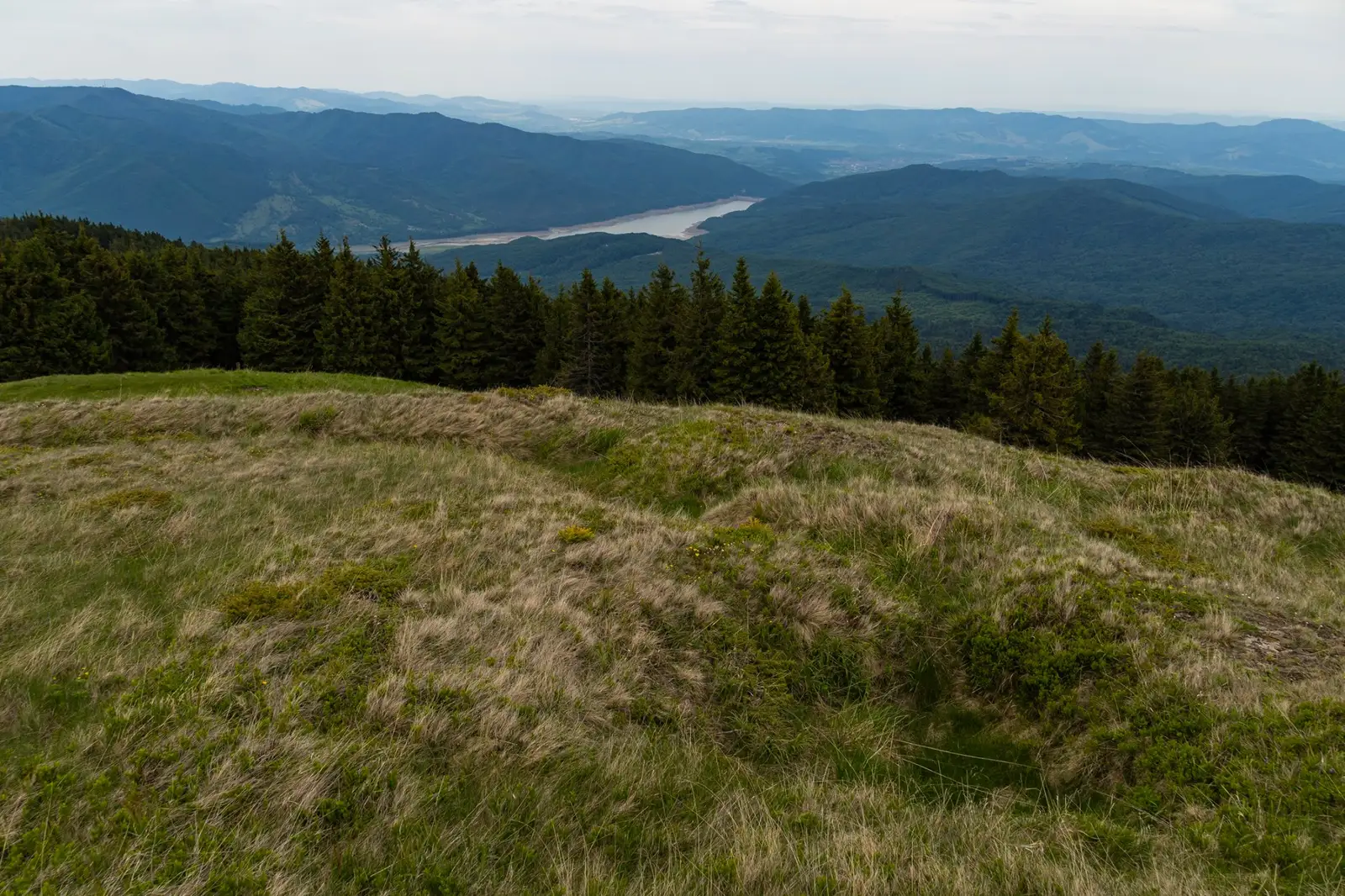  Farcu Mare -  urmele tranșeelor din Primul Război Mondial - Andrei Pahomi