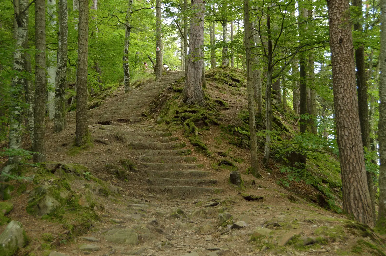  Pe traseul „300 de Scari”