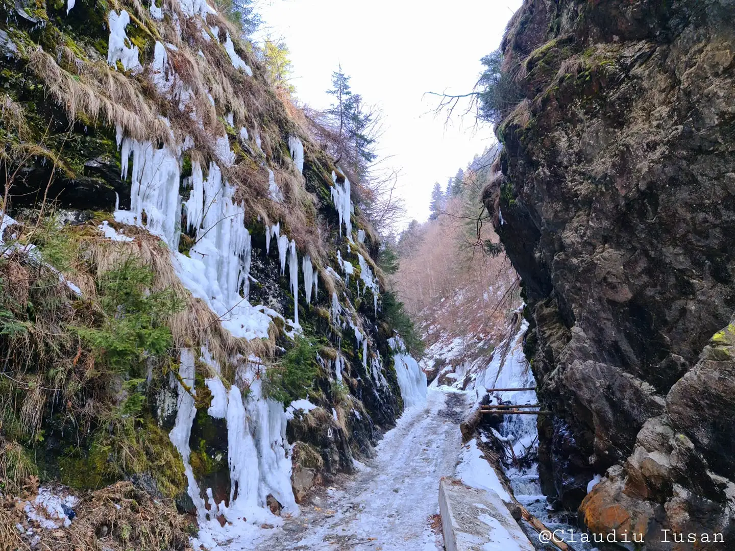 Stramtoarea Dracului - Claudiu Iusan