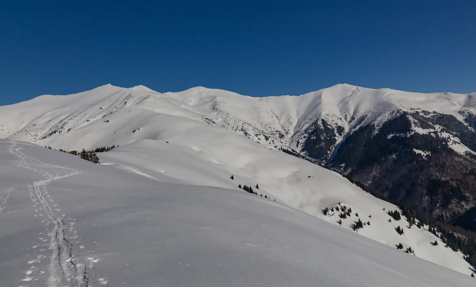  Trioul Ineu Ineut Rosu - Hudin Lucian