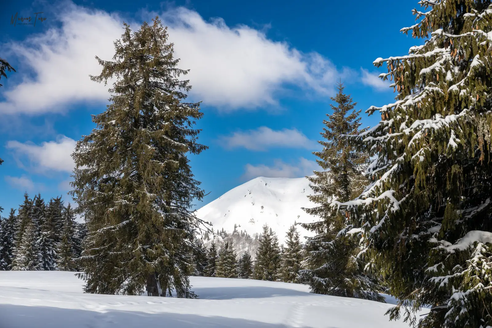  Cornu Munților - Marius Turc