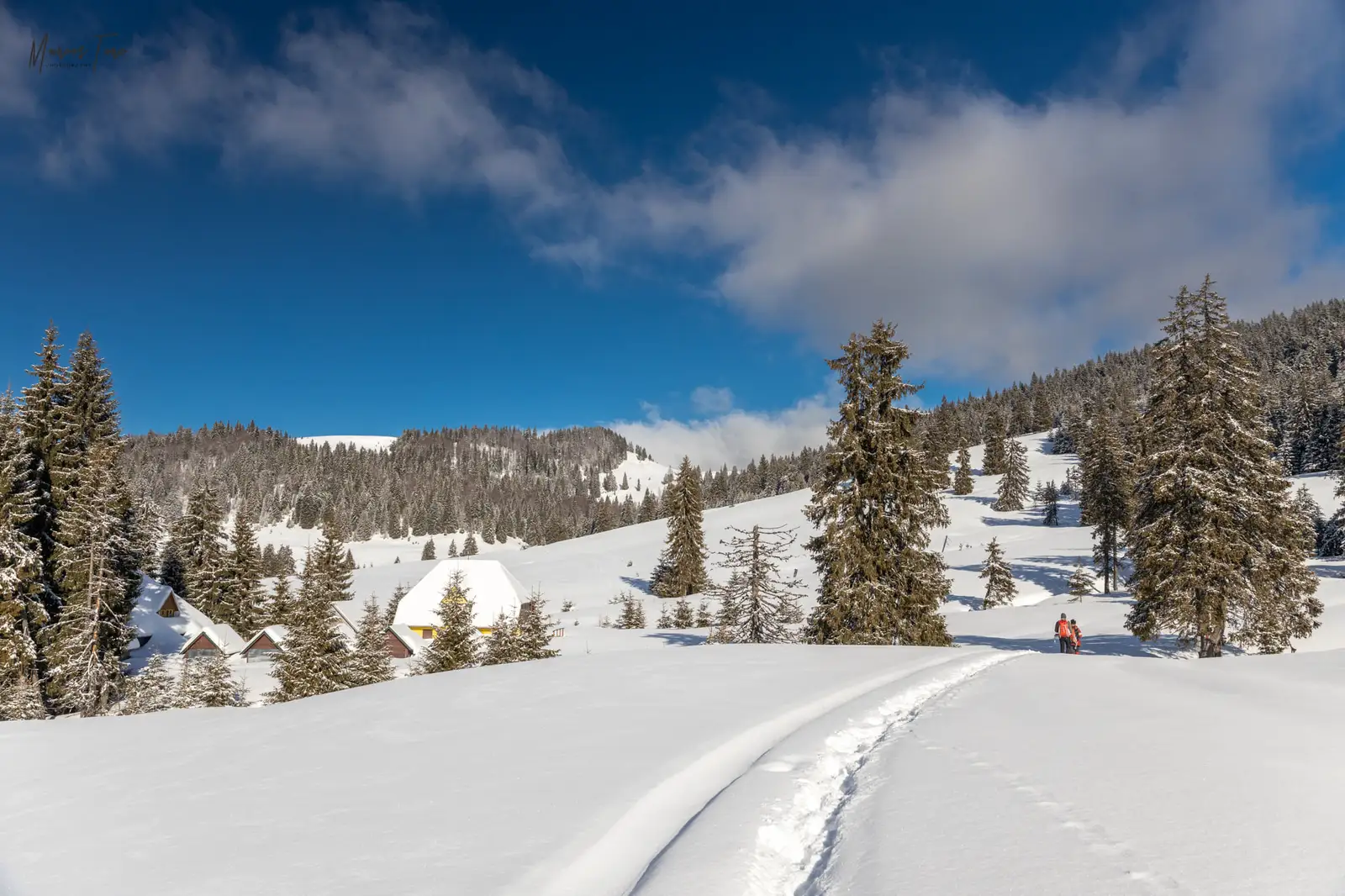  Cabana Varasoaia - Marius Turc