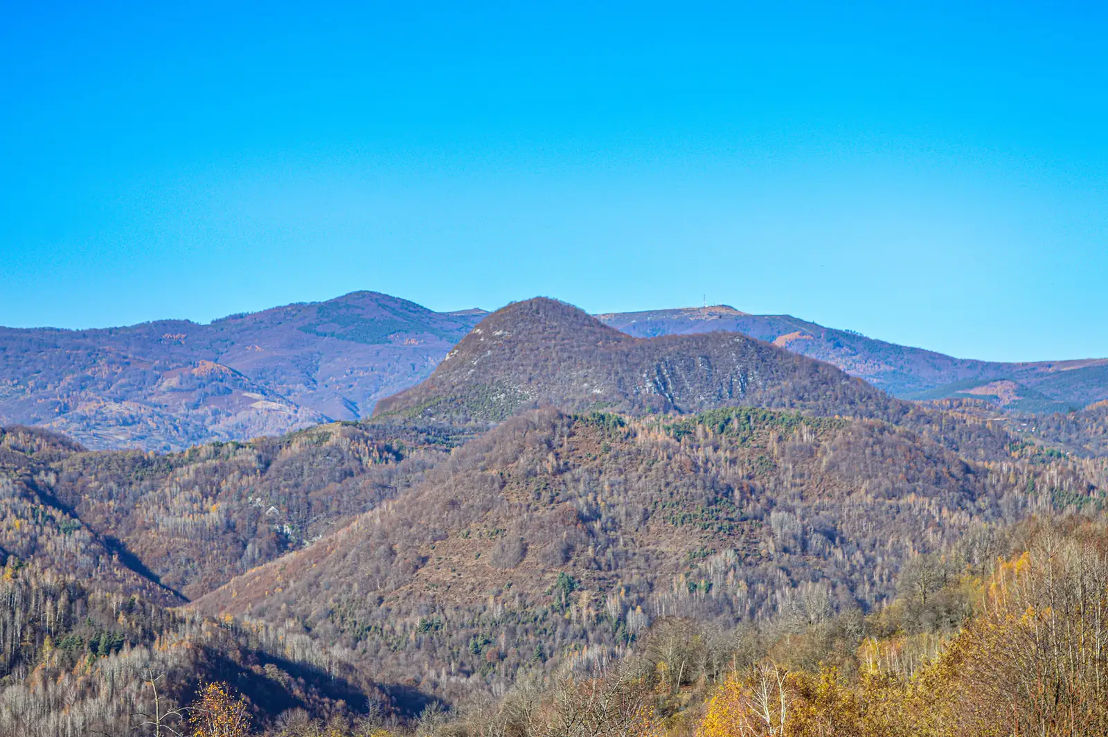  Bulzul Bulzestiului iar in departate Muntele Gaina - Nicu Ardeu