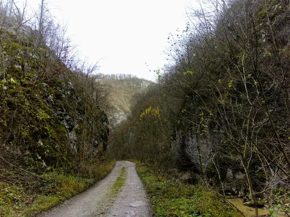  Cheile Ribicioarei - Marinel Popa