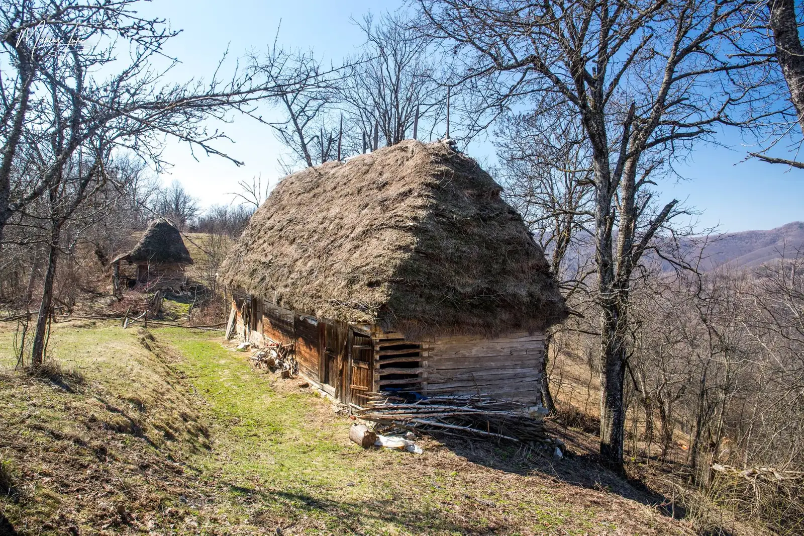 Gospodărie Ionilești - Marius Turc