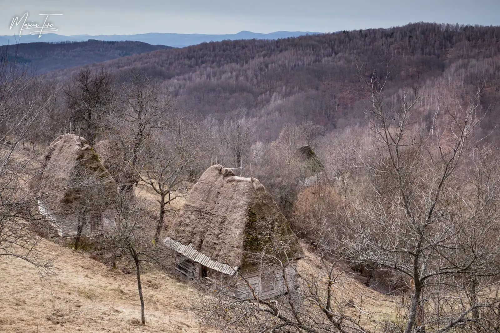  Șuri de paie Străuți - Marius Turc