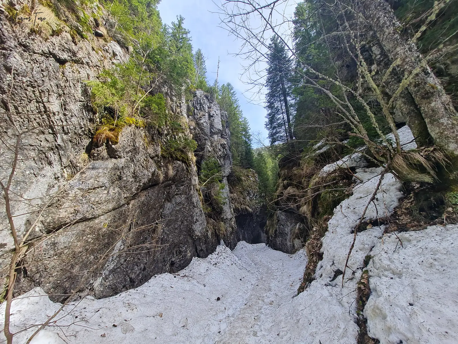  Cheile Scorotei - Marius Turc