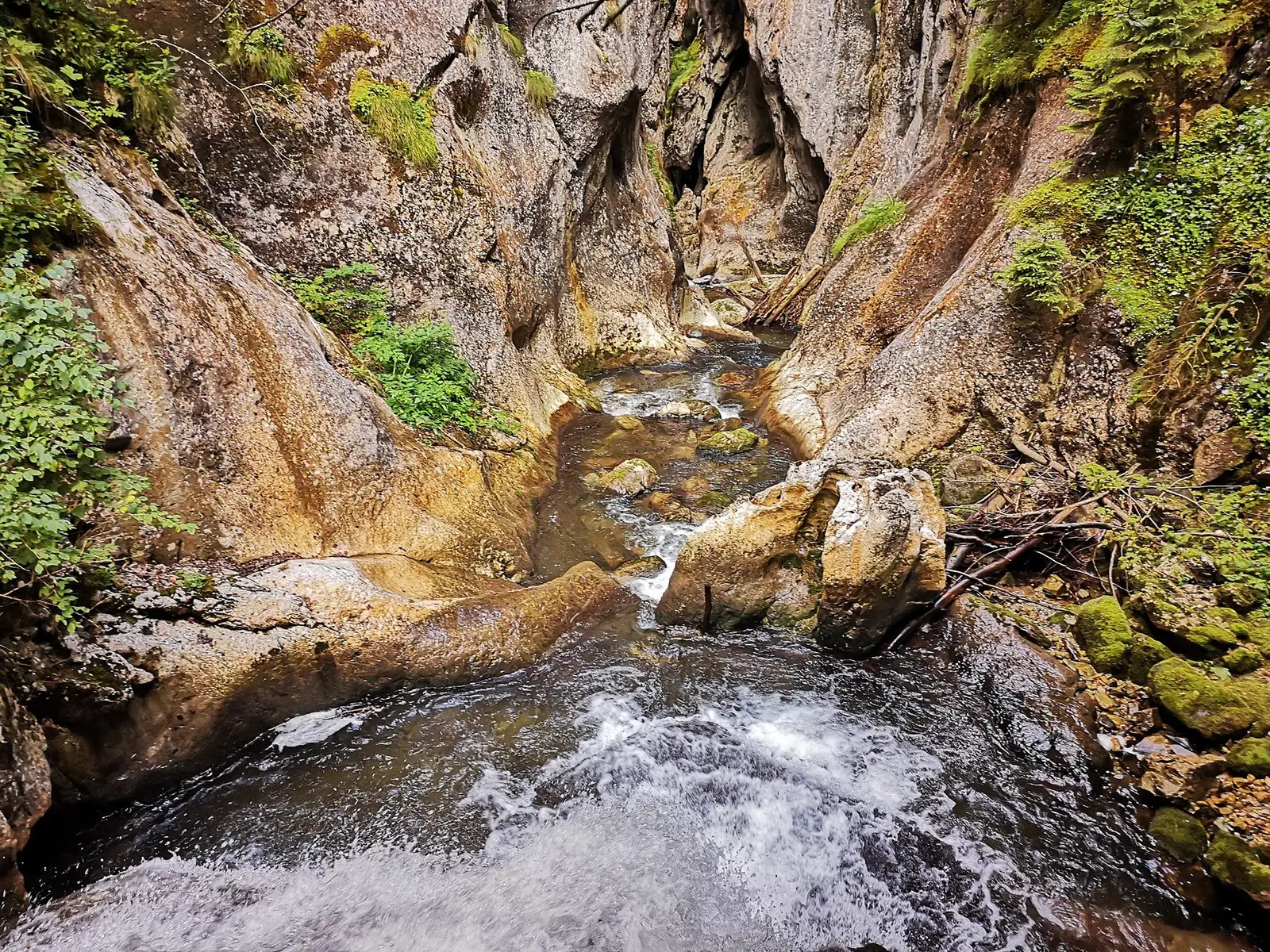  Cheile Butii - Attila Dobai