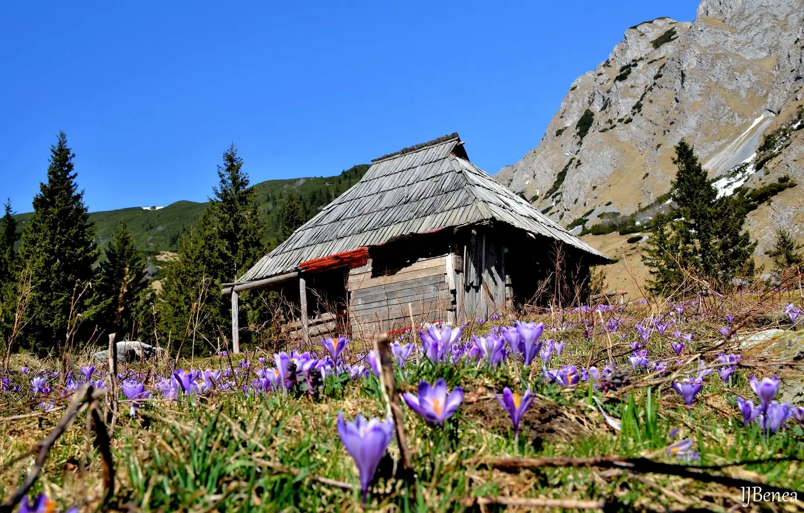  Vechea Stâna Scorota - Ioan Benea Jurca