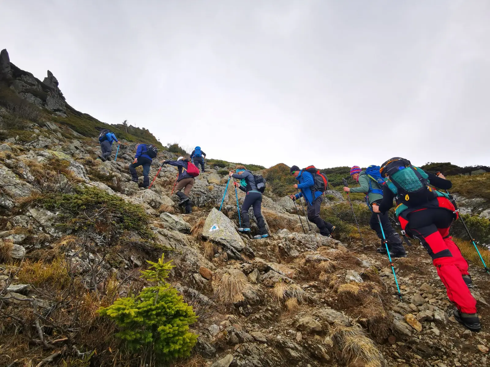 Urcam pe traseul de iarna 