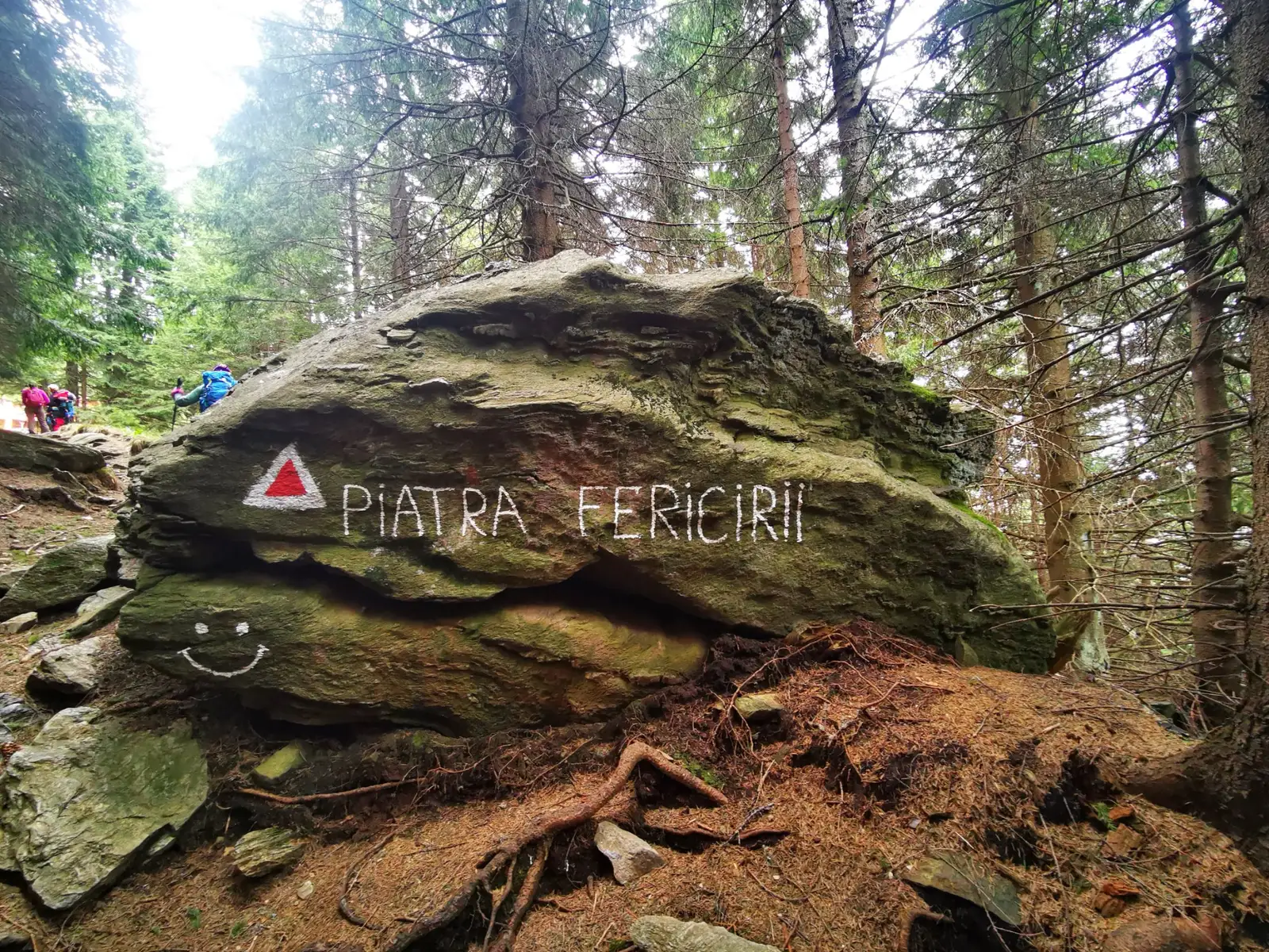  Piatra Fericirii - Ioli Bocioroaga