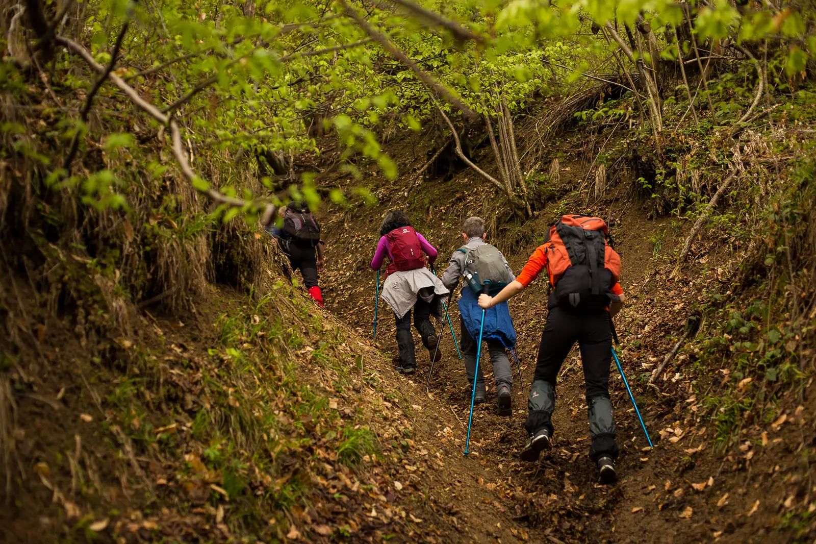  Urcarea pe un valcel de tras lemne - Anii Drumeției
