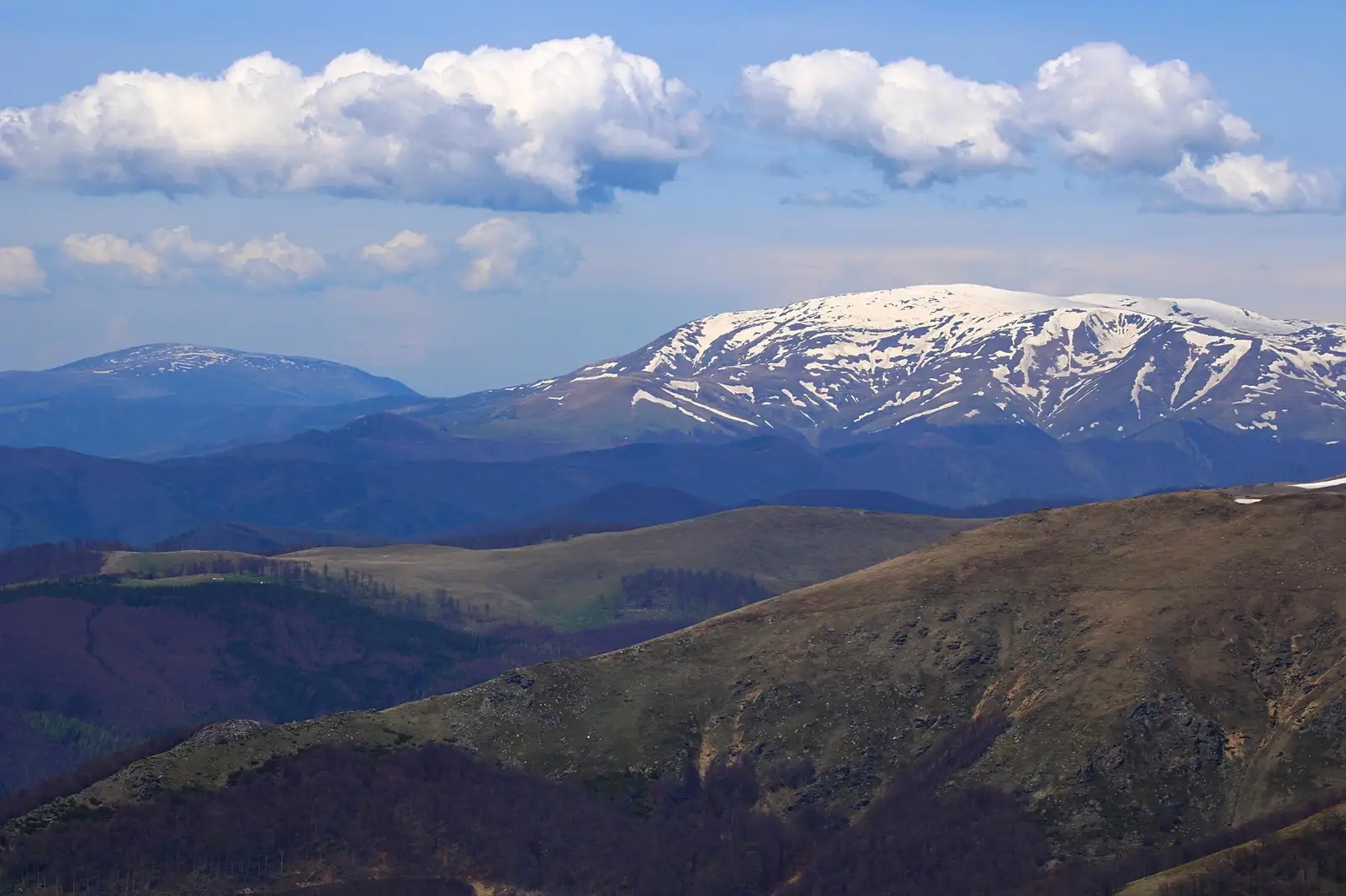  Din munţii Cernei până în Țarcu și Muntele Mic - Sima Constantin