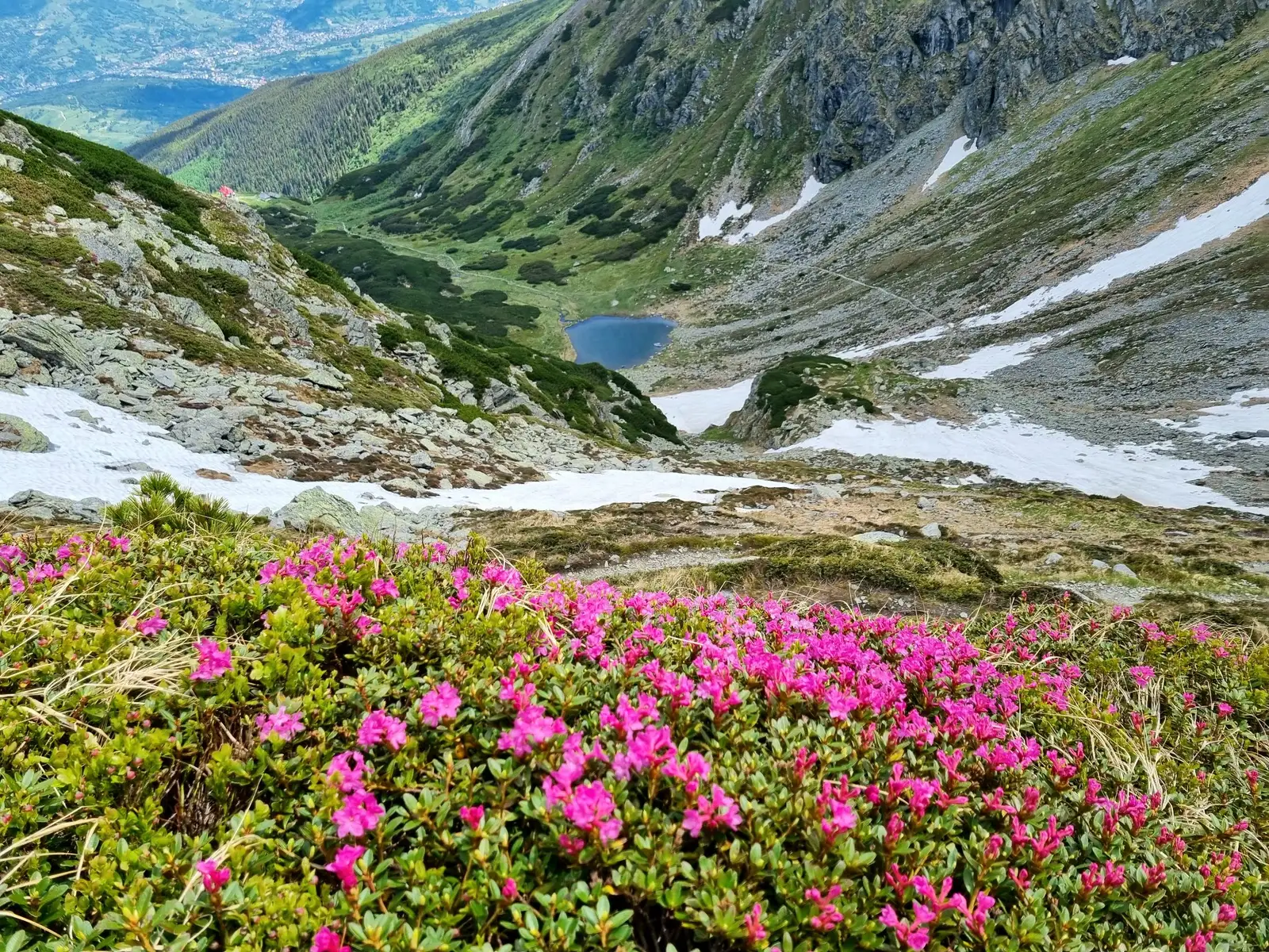  Iezerul Pietrosului - Dodan Doru Sorin