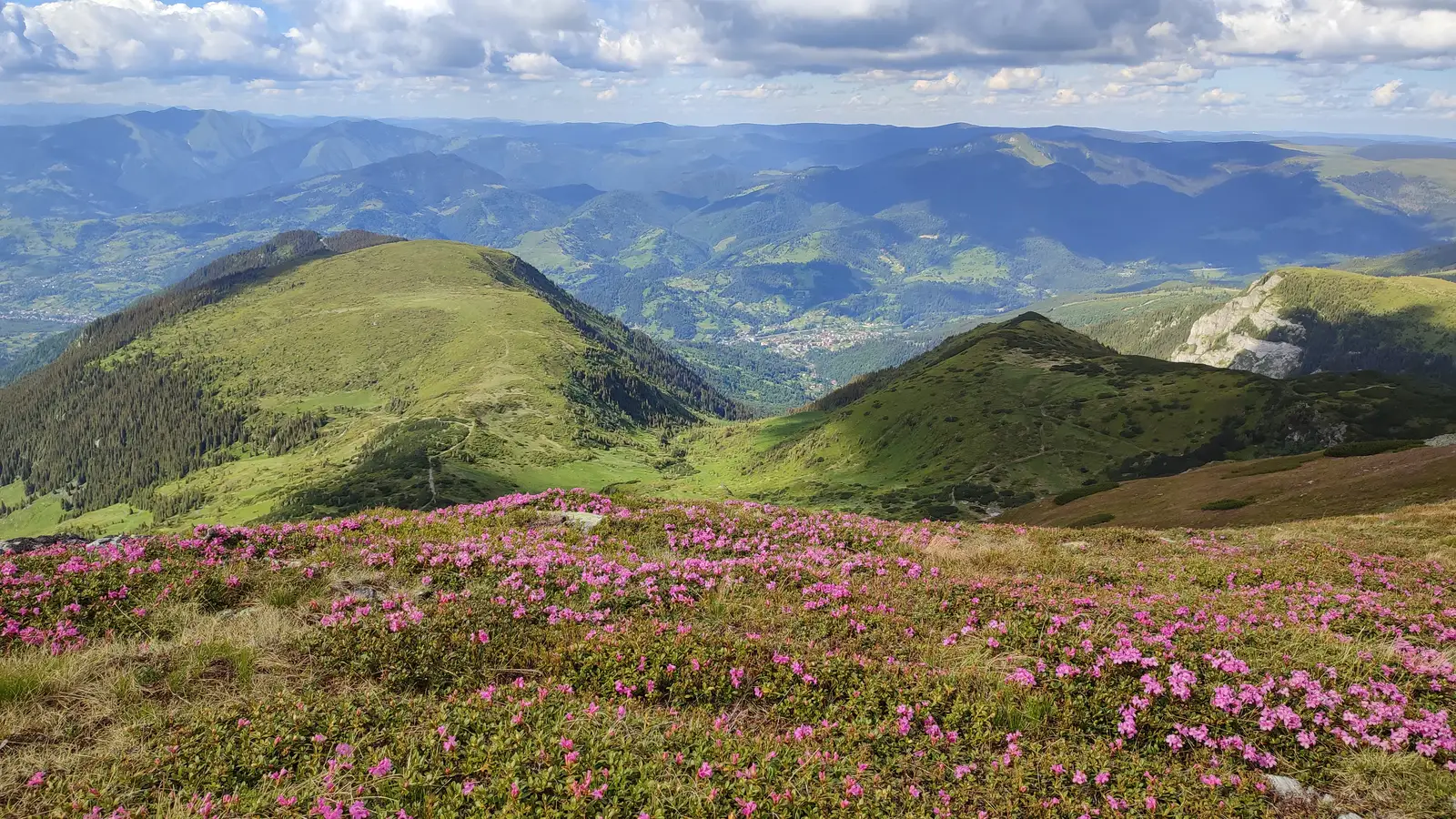  Vedere spre Borșa - Manu Munțomanu