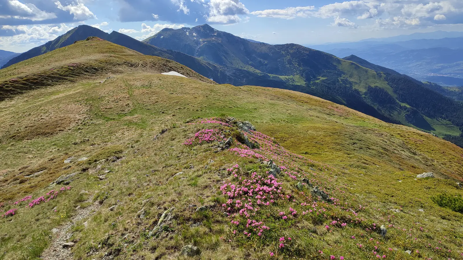  Sub Vf. Galațului spre Laptele și Puzdrele - Manu Munțomanu