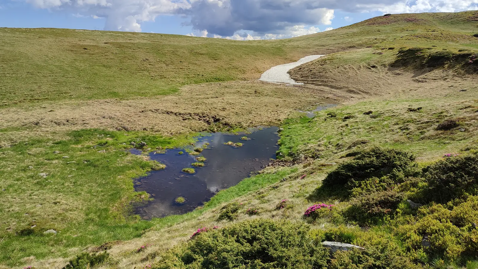  Lacul Cailor - Manu Munțomanu.