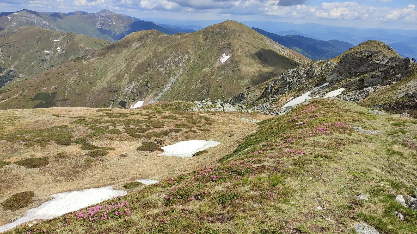  Laptele și Galațului spre Gărgălău - Manu Munțomanu