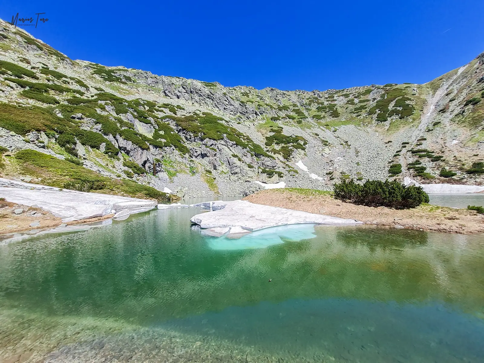  Insulița de vegetație din Tăul Țapului - Marius Turc