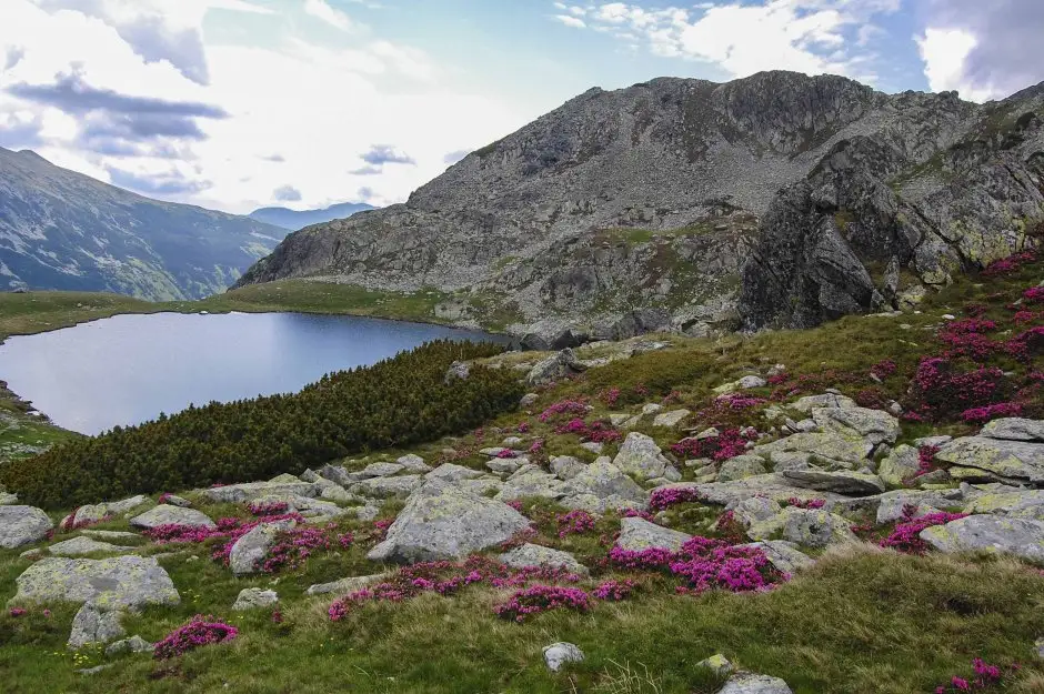  Lacul Galeșul - Munții Noștri