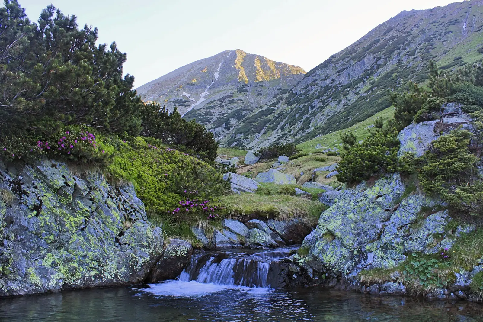  Minicascade pe pârâul Peleaga - Sima Constantin