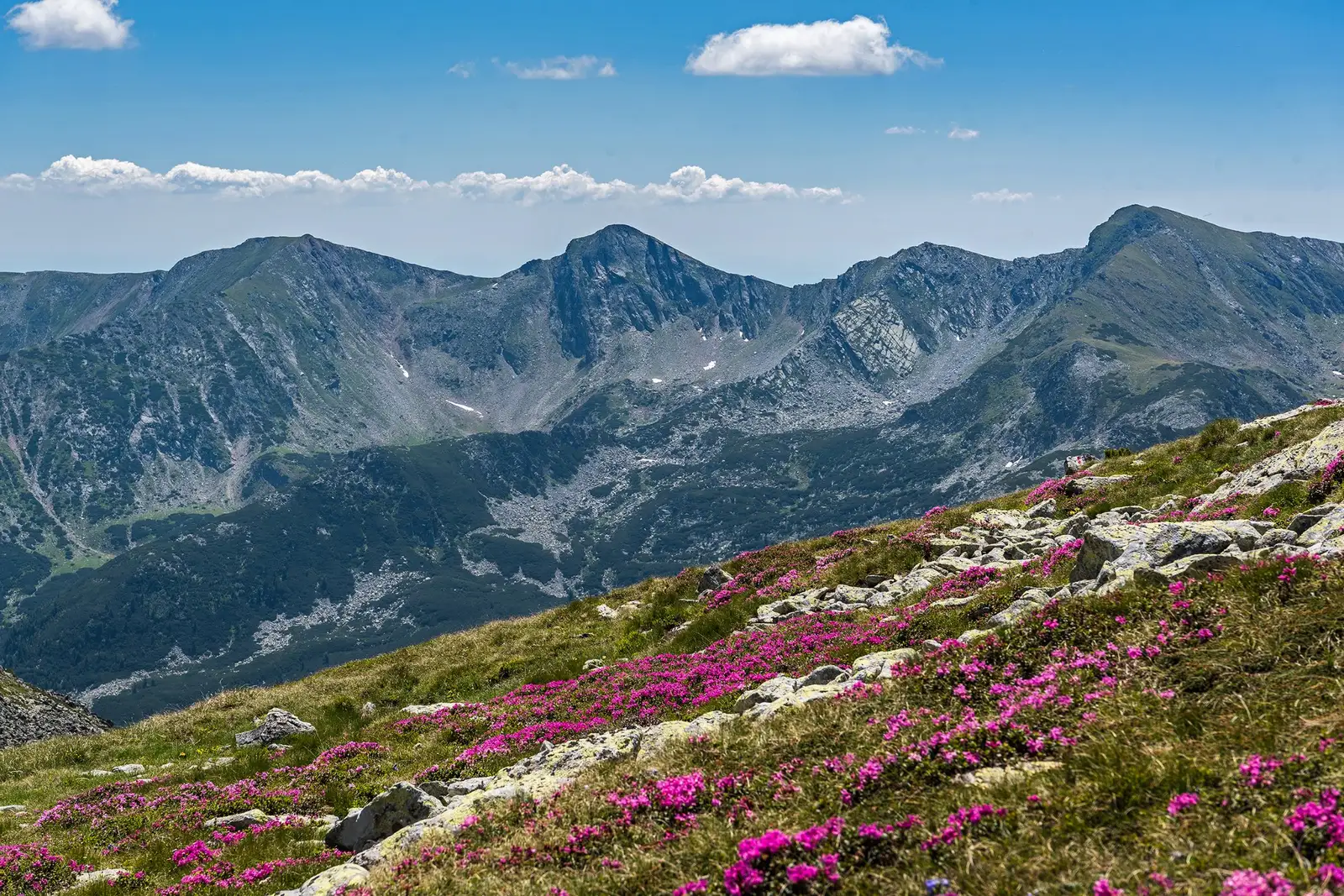  Șaua Vârfului Mare - Daniel Morar