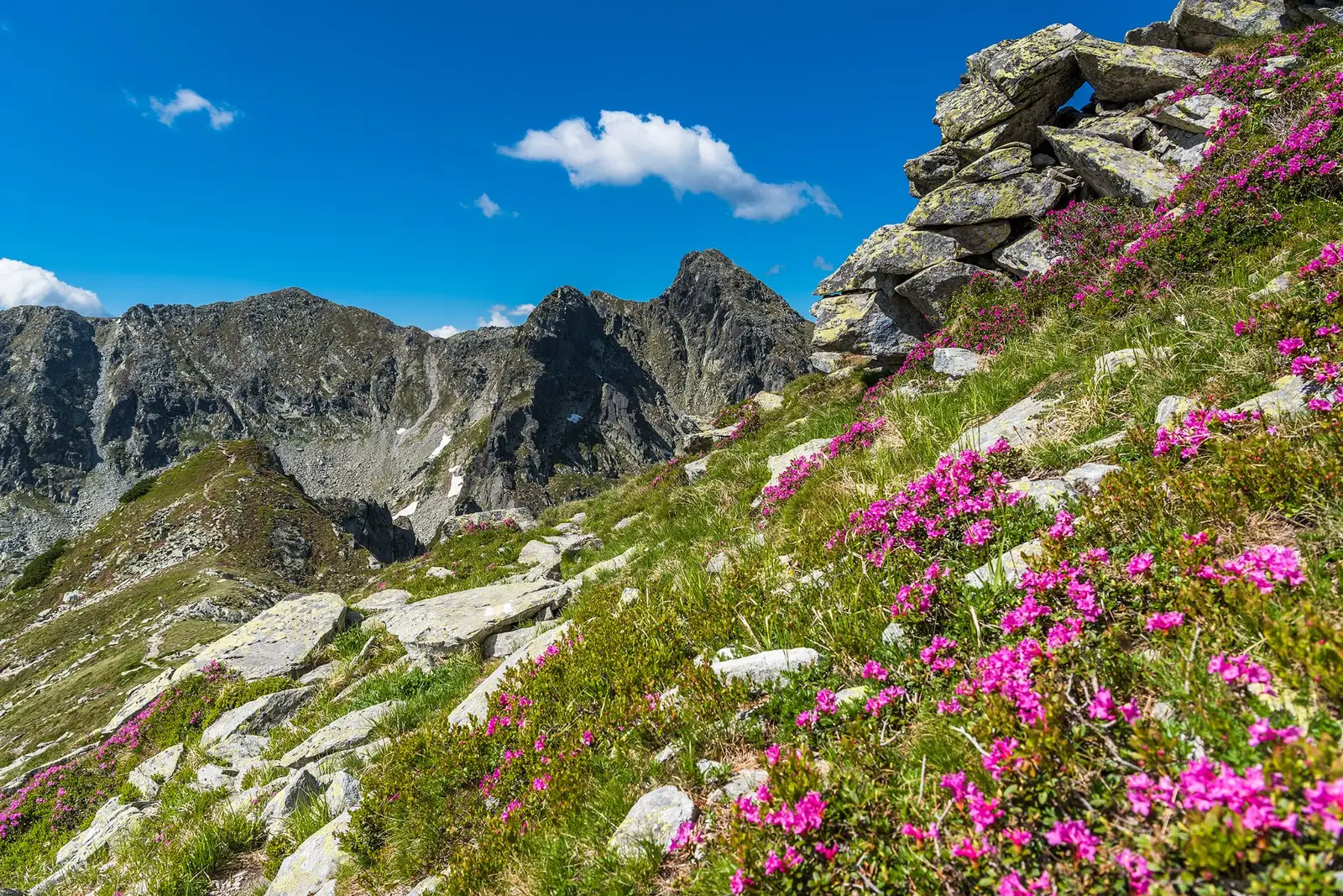  spre Poarta Bucurei, Judele - Morar Daniel