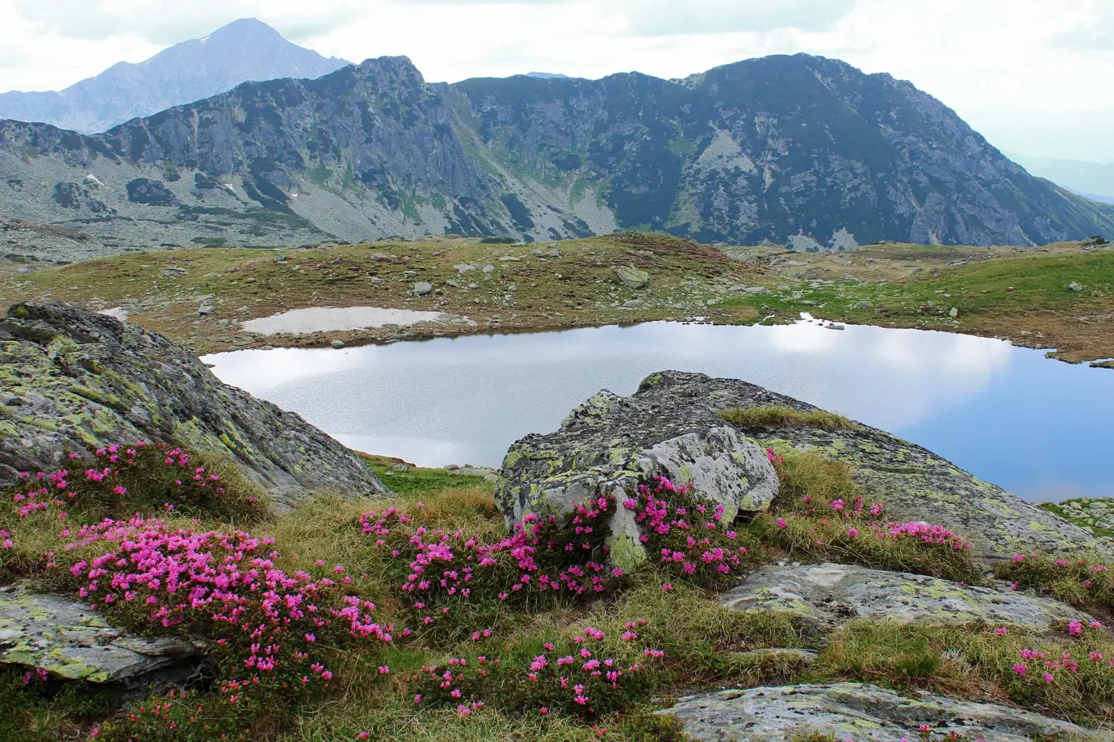  Tăul Mare din Valea Rea - Sima Constantin