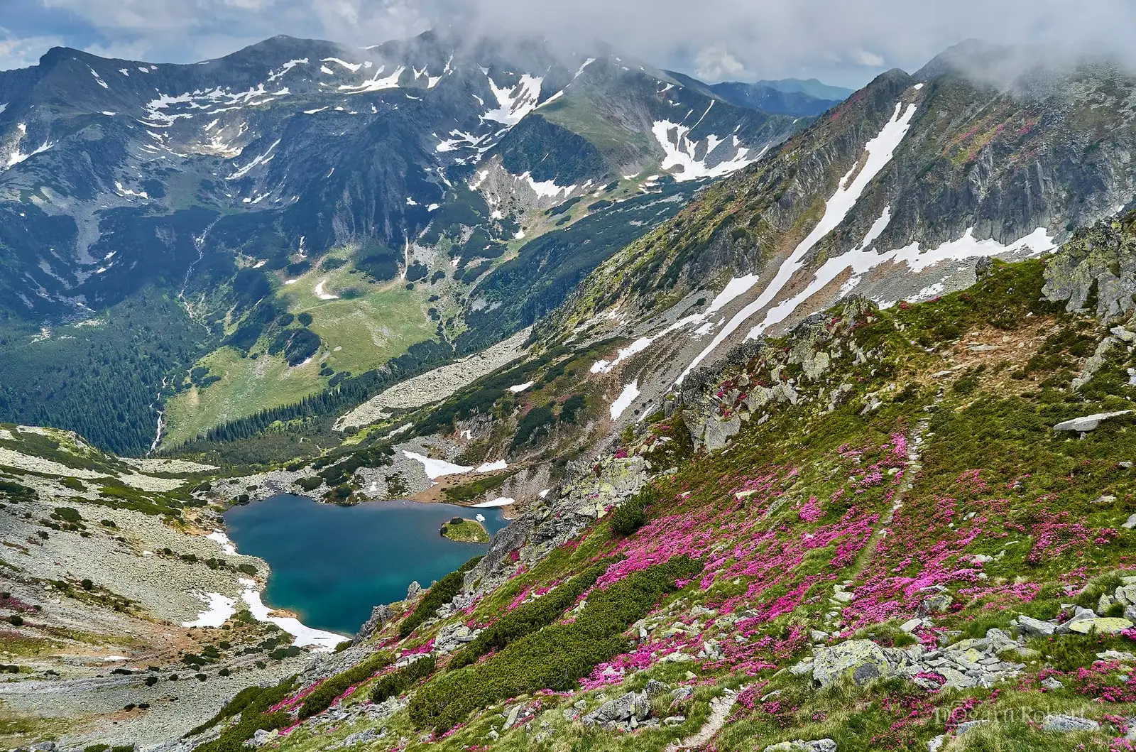  Taul Tapului - Robert Dogaru