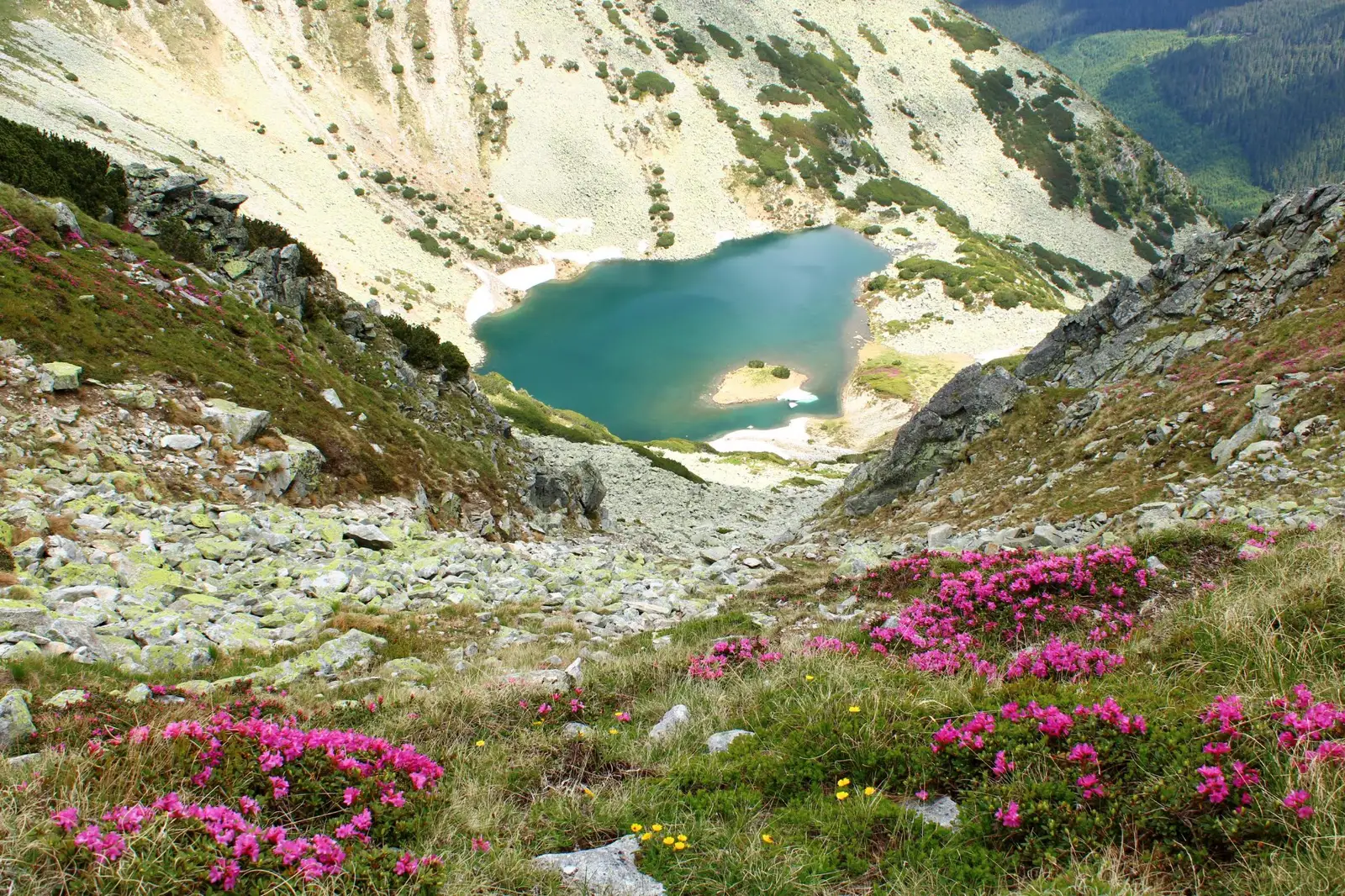  Taul Țapului - Sima Constantin