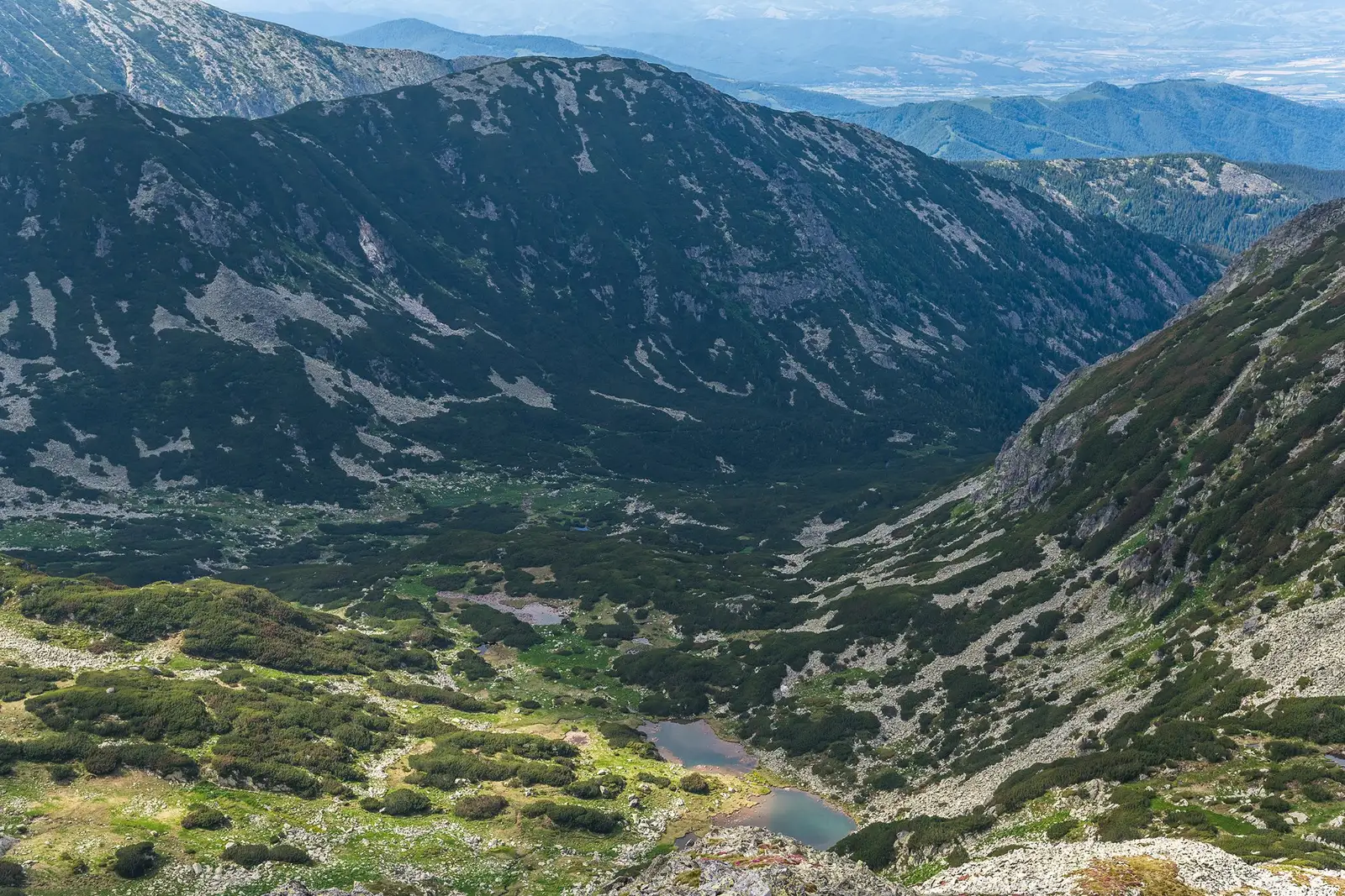  Tăurile Pietricelele - Morar Daniel