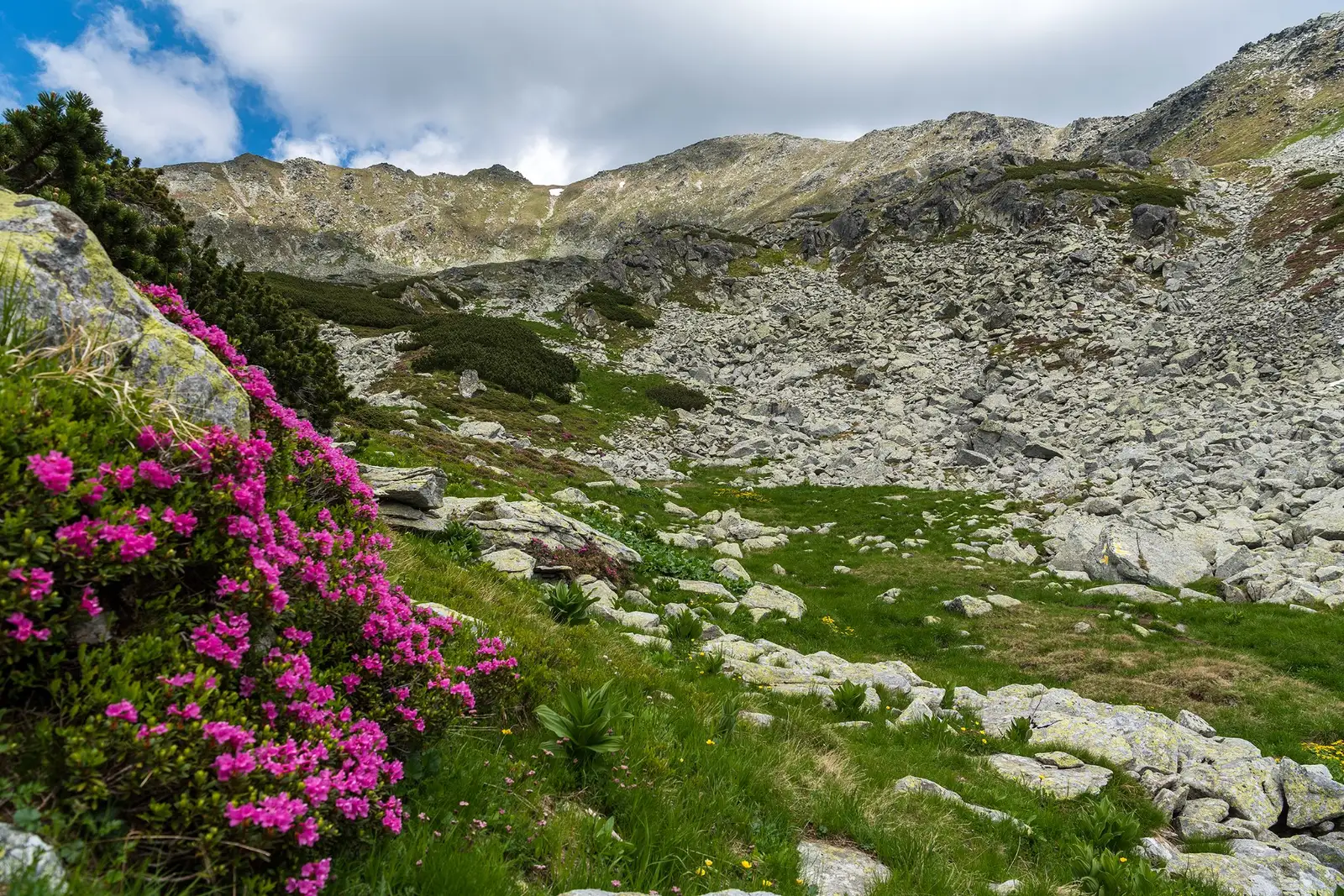  Urcarea prin Căldarea Berbecilor - Morar Daniel
