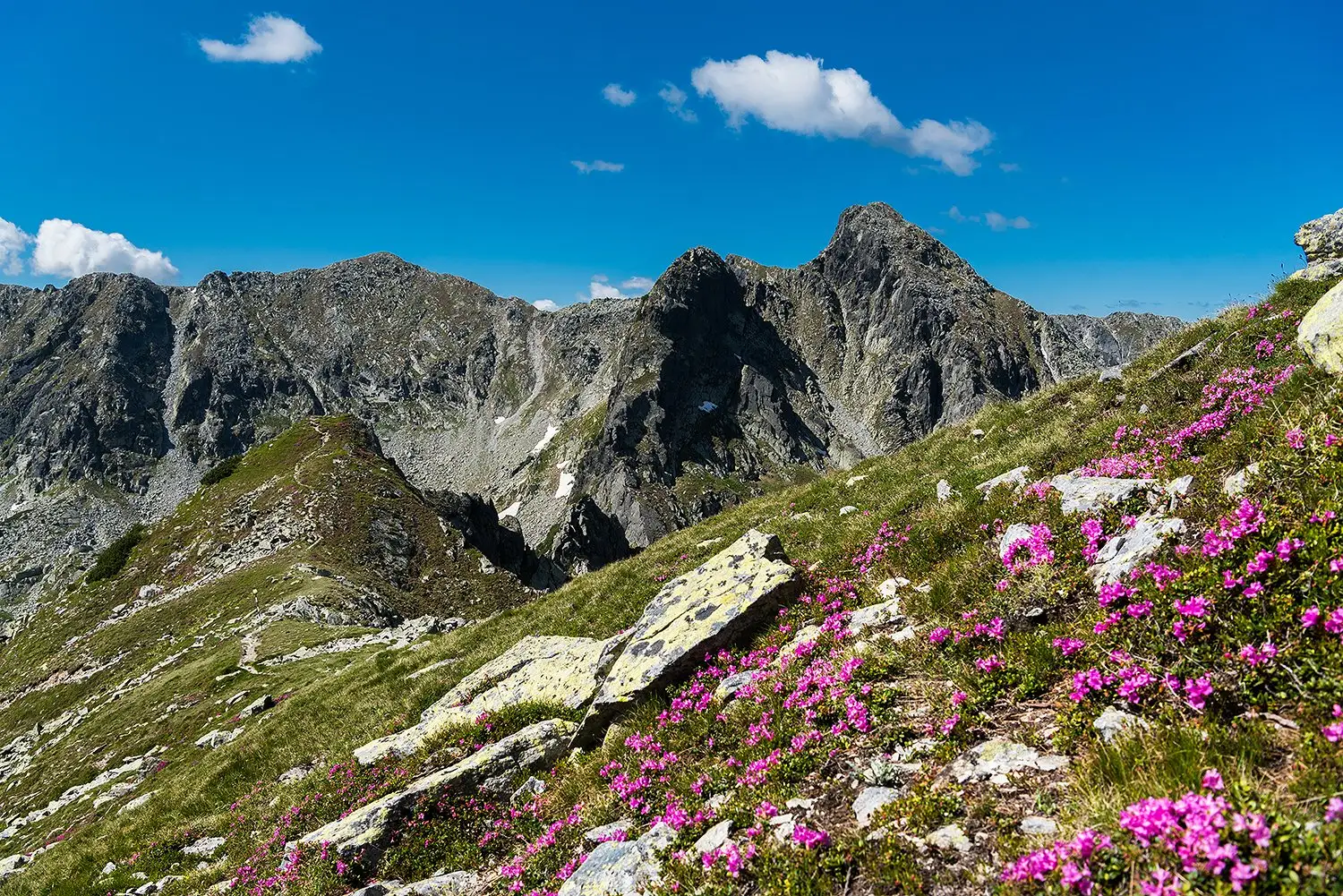  vedere spre Judele - Morar Daniel