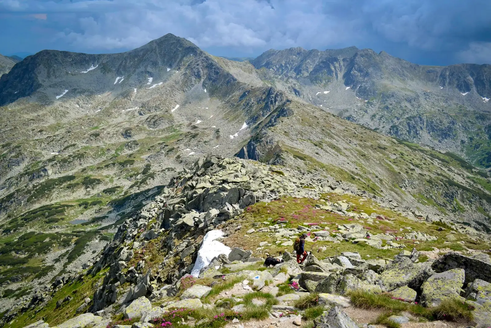  Vedere spre Șaua Retezat - Ioana Pop