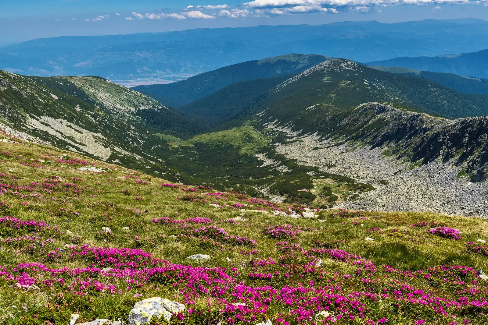  Vedere spre Valea Văsieului - Morar Daniel