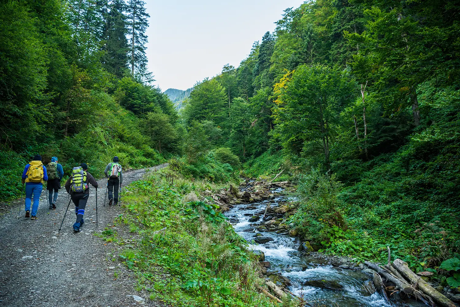 Munții Făgărașului