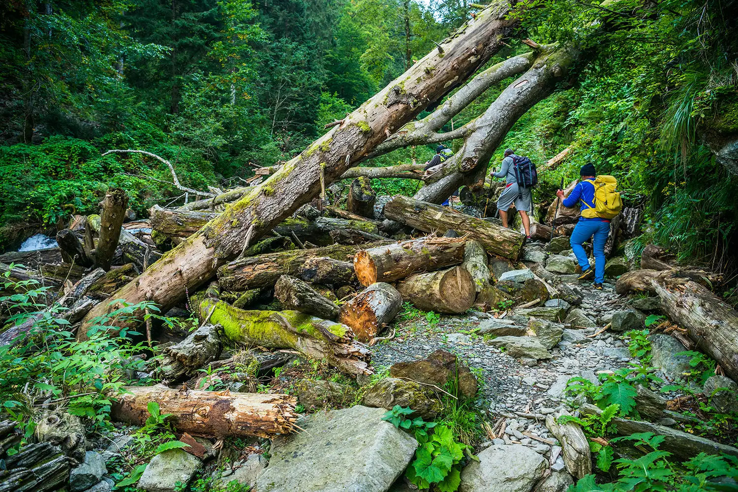 Munții Făgărașului