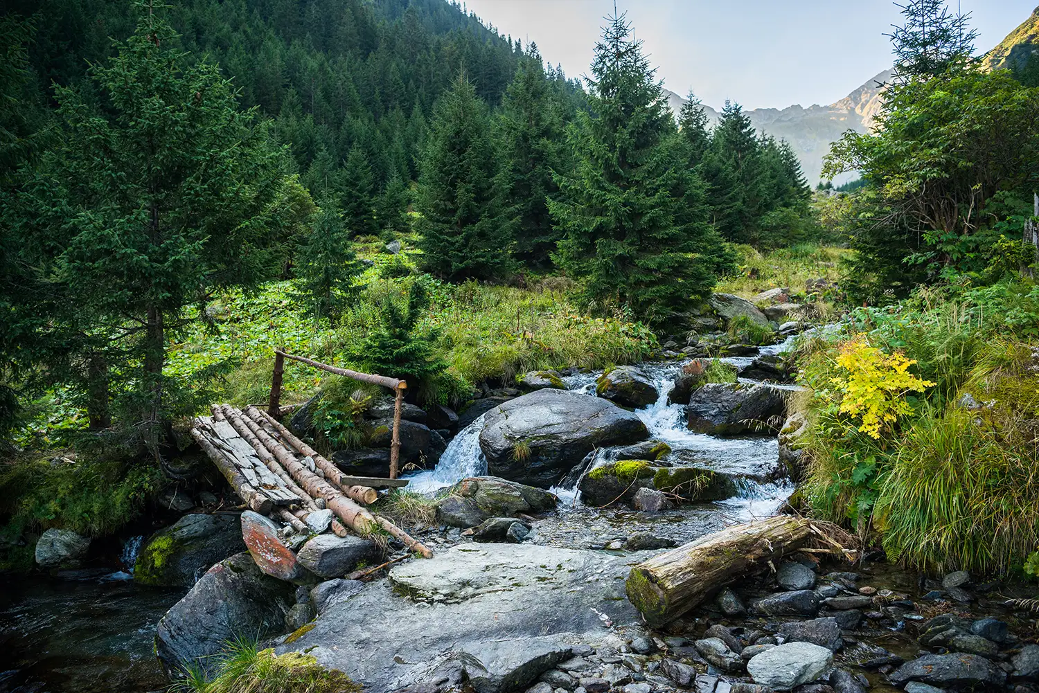Munții Făgărașului