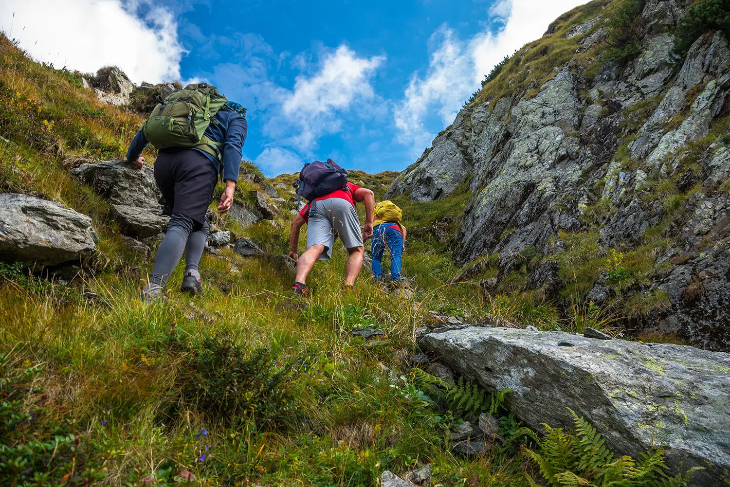 Munții Făgărașului