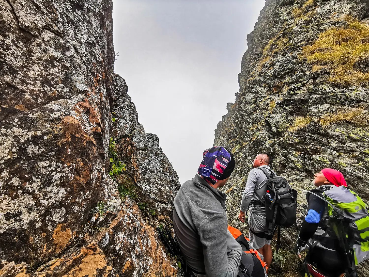 Munții Făgărașului