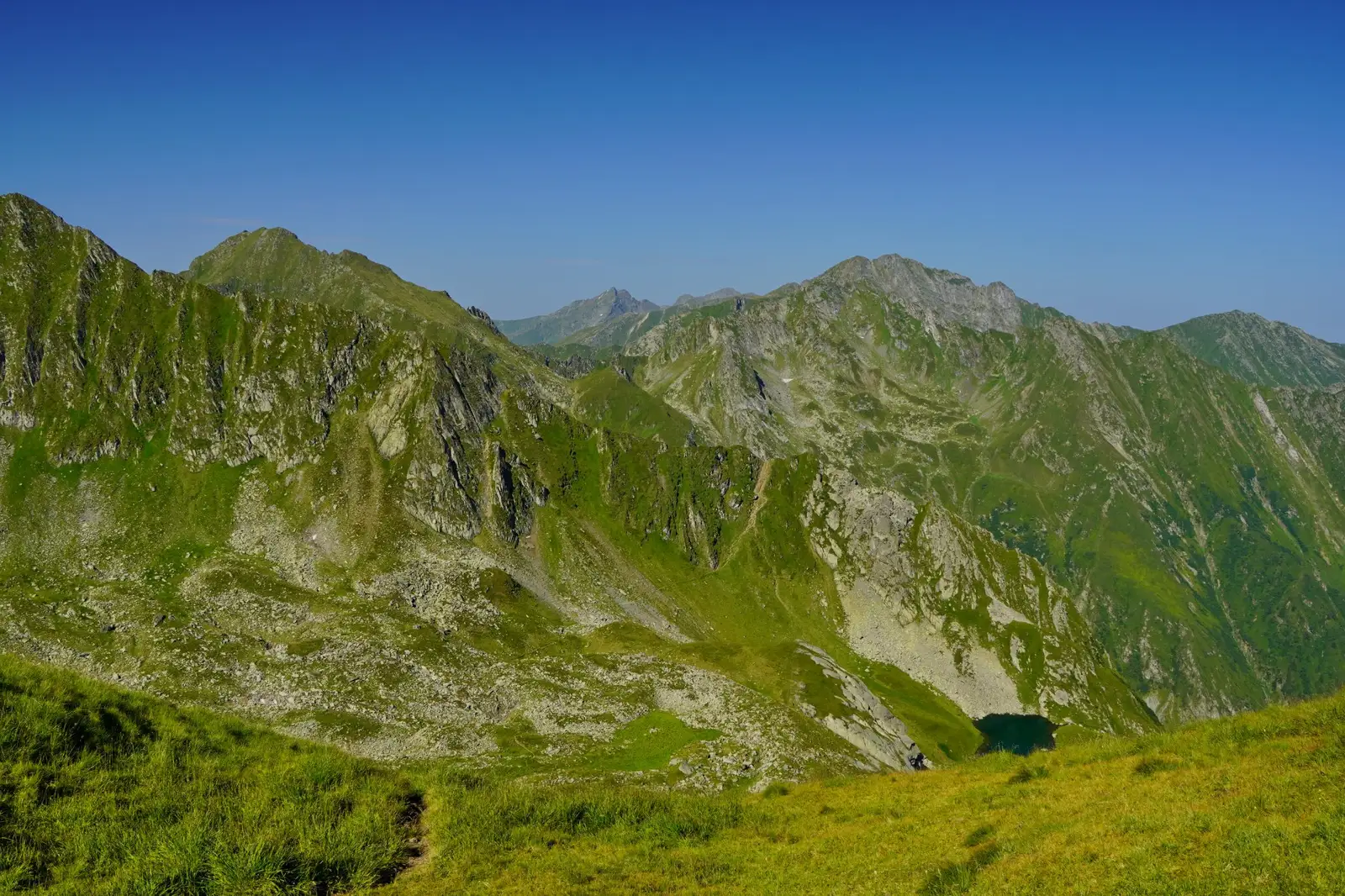  Podrăgelul și Muchia Albotei - Adrian Vintilă