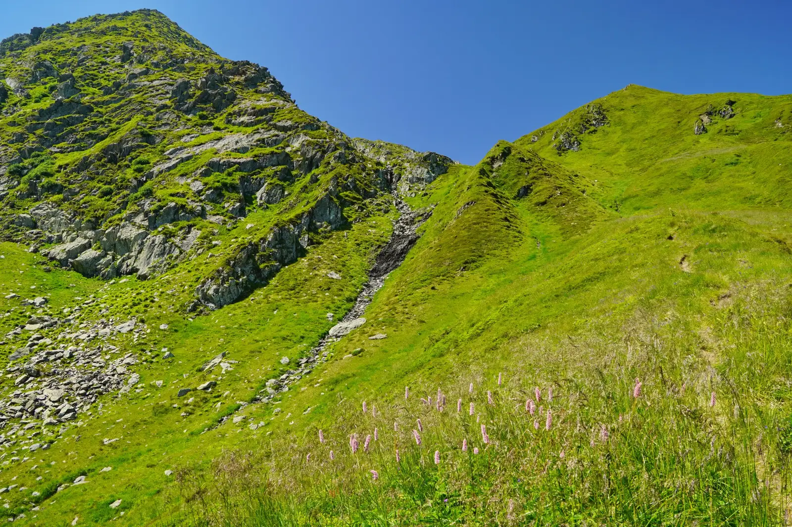  Izvoarele Arpașului Mare - Adrian Vintilă